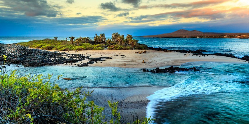 Kryssning eller öhoppning på Galápagosöarna